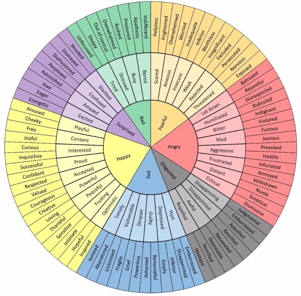 Emotion Regulation blog wheel image