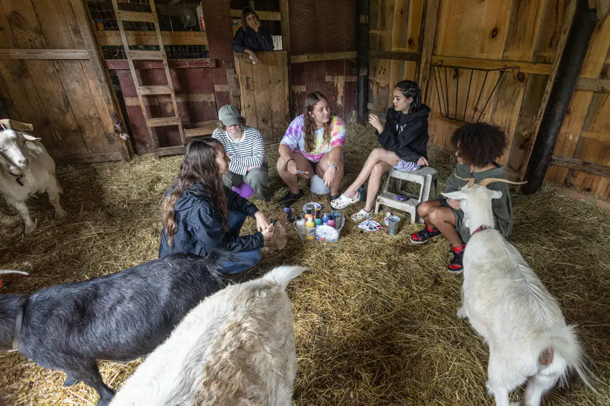 Several Lake House Academy students talking together in a barn with hay on the floor as several goats look on.