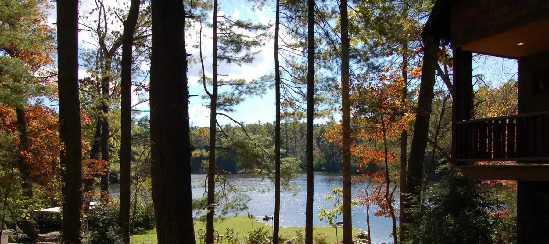 A view through tall trees toward the lake as seen from the upper terrace of a school providing relational therapy using the CASA framework.